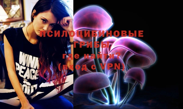 метадон Козловка