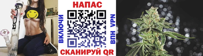 Купить где  Родники  Шишки марихуана SATIVA & INDICA 